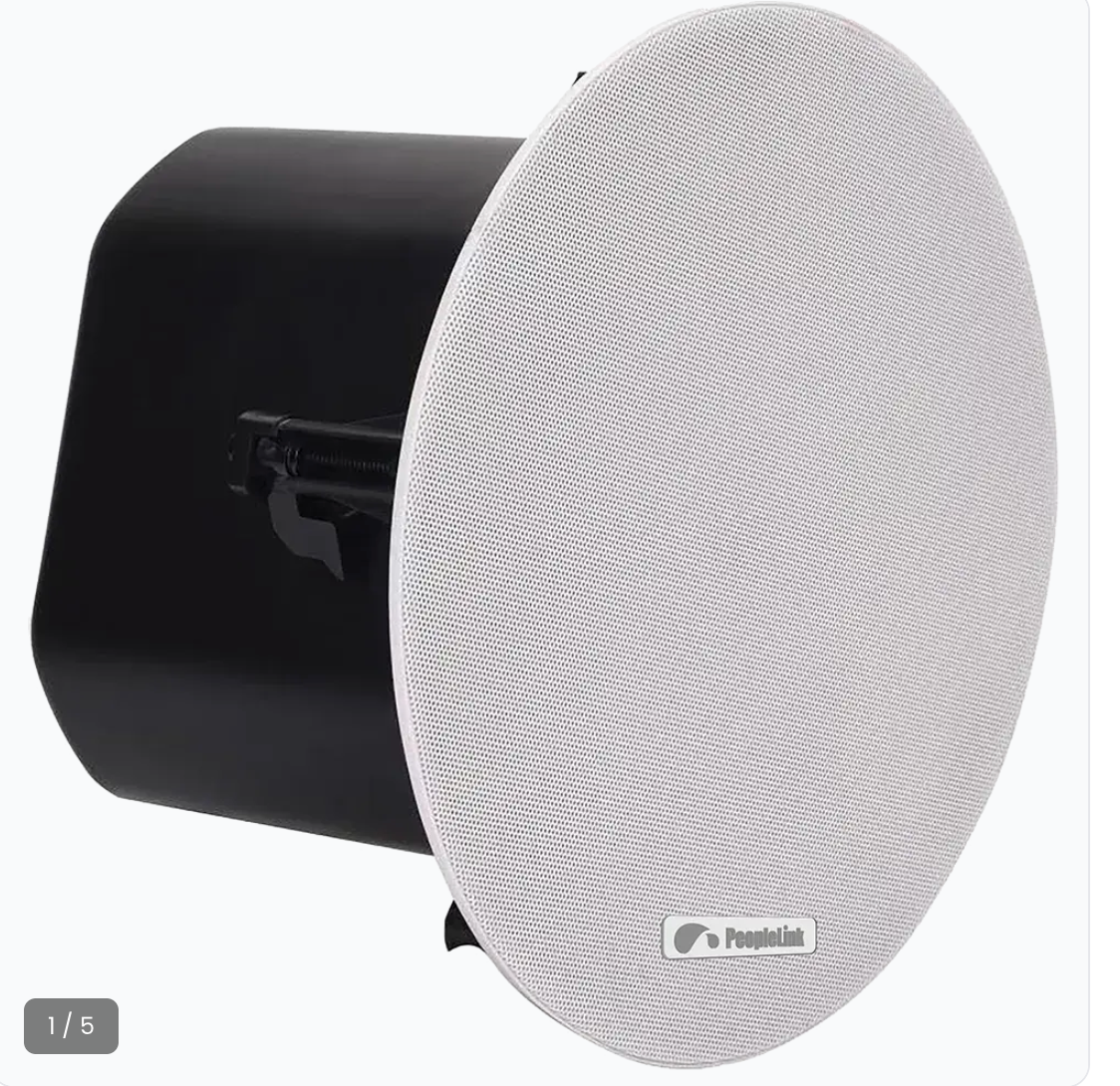 Dante Ceiling Tile Speakers